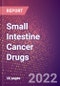 Small Intestine Cancer Drugs in Development by Stages, Target, MoA, RoA, Molecule Type and Key Players - Product Thumbnail Image