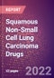 Squamous Non-Small Cell Lung Carcinoma Drugs in Development by Stages, Target, MoA, RoA, Molecule Type and Key Players - Product Thumbnail Image