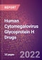 Human Cytomegalovirus Glycoprotein H Drugs in Development by Therapy Areas and Indications, Stages, MoA, RoA, Molecule Type and Key Players - Product Thumbnail Image