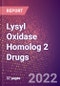 Lysyl Oxidase Homolog 2 Drugs in Development by Therapy Areas and Indications, Stages, MoA, RoA, Molecule Type and Key Players - Product Thumbnail Image