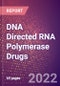 DNA Directed RNA Polymerase Drugs in Development by Therapy Areas and Indications, Stages, MoA, RoA, Molecule Type and Key Players - Product Thumbnail Image