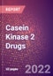 Casein Kinase 2 Drugs in Development by Therapy Areas and Indications, Stages, MoA, RoA, Molecule Type and Key Players - Product Thumbnail Image