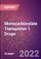 Monocarboxylate Transporter 1 Drugs in Development by Therapy Areas and Indications, Stages, MoA, RoA, Molecule Type and Key Players - Product Thumbnail Image