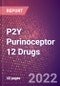 P2Y Purinoceptor 12 (ADP Glucose Receptor or P2Y12 Platelet ADP Receptor or SP1999 or P2T or P2Y or P2Y or P2Y12 or P2RY12) Drugs in Development by Therapy Areas and Indications, Stages, MoA, RoA, Molecule Type and Key Players - Product Thumbnail Image