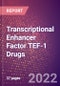 Transcriptional Enhancer Factor TEF-1 Drugs in Development by Therapy Areas and Indications, Stages, MoA, RoA, Molecule Type and Key Players - Product Thumbnail Image