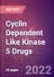 Cyclin Dependent Like Kinase 5 Drugs in Development by Therapy Areas and Indications, Stages, MoA, RoA, Molecule Type and Key Players - Product Thumbnail Image