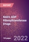 NAD+ ADP Ribosyltransferase Drugs in Development by Therapy Areas and Indications, Stages, MoA, RoA, Molecule Type and Key Players - Product Thumbnail Image