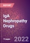 IgA Nephropathy Drugs in Development by Stages, Target, MoA, RoA, Molecule Type and Key Players - Product Thumbnail Image