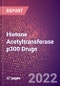 Histone Acetyltransferase p300 Drugs in Development by Therapy Areas and Indications, Stages, MoA, RoA, Molecule Type and Key Players - Product Thumbnail Image