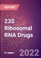 23S Ribosomal RNA Drugs in Development by Therapy Areas and Indications, Stages, MoA, RoA, Molecule Type and Key Players - Product Thumbnail Image