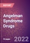 Angelman Syndrome Drugs in Development by Stages, Target, MoA, RoA, Molecule Type and Key Players - Product Thumbnail Image