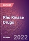 Rho Kinase Drugs in Development by Therapy Areas and Indications, Stages, MoA, RoA, Molecule Type and Key Players - Product Thumbnail Image