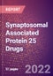 Synaptosomal Associated Protein 25 Drugs in Development by Therapy Areas and Indications, Stages, MoA, RoA, Molecule Type and Key Players - Product Thumbnail Image