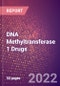 DNA Methyltransferase 1 Drugs in Development by Therapy Areas and Indications, Stages, MoA, RoA, Molecule Type and Key Players - Product Thumbnail Image