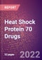 Heat Shock Protein 70 Drugs in Development by Therapy Areas and Indications, Stages, MoA, RoA, Molecule Type and Key Players - Product Thumbnail Image