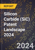 Silicon Carbide (SiC) Patent Landscape 2024- Product Image