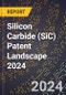 Silicon Carbide (SiC) Patent Landscape 2024 - Product Image