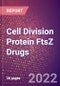 Cell Division Protein FtsZ (ftsz) Drugs in Development by Therapy Areas and Indications, Stages, MoA, RoA, Molecule Type and Key Players, 2022 Update - Product Thumbnail Image