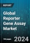 Global Reporter Gene Assay Market by Product (Assay Kits, Reagents), Application (Cell Signaling Pathways, Gene Regulation, Promoter Structural & Functional Analysis), End-User - Forecast 2024-2030 - Product Image