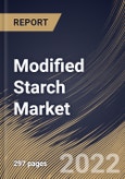 Modified Starch Market Size, Share & Industry Trends Analysis Report By Raw Material (Corn, Potato, Cassava, Wheat), By Application, By Form (Dry and Liquid), By Regional Outlook and Forecast, 2022 - 2028- Product Image