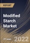 Modified Starch Market Size, Share & Industry Trends Analysis Report By Raw Material (Corn, Potato, Cassava, Wheat), By Application, By Form (Dry and Liquid), By Regional Outlook and Forecast, 2022 - 2028 - Product Thumbnail Image