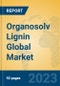 Organosolv Lignin Global Market Insights 2023, Analysis and Forecast to 2028, by Manufacturers, Regions, Technology, Application, Product Type - Product Thumbnail Image