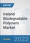 Ireland Biodegradable Polymers Market: Prospects, Trends Analysis, Market Size and Forecasts up to 2028 - Product Thumbnail Image