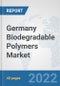 Germany Biodegradable Polymers Market: Prospects, Trends Analysis, Market Size and Forecasts up to 2028 - Product Thumbnail Image