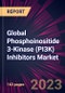 Global Phosphoinositide 3-Kinase (PI3K) Inhibitors Market 2024-2028 - Product Thumbnail Image