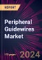 Peripheral Guidewires Market 2024-2028 - Product Thumbnail Image