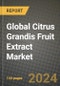 Global Citrus Grandis Fruit Extract Market Outlook Report: Industry Size, Competition, Trends and Growth Opportunities by Region, YoY Forecasts from 2024 to 2031 - Product Thumbnail Image