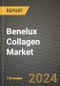 Benelux Collagen Market Outlook Report: Industry Size, Competition, Trends and Growth Opportunities by Region, YoY Forecasts from 2024 to 2031 - Product Image