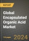 Global Encapsulated Organic Acid Market Outlook Report: Industry Size, Competition, Trends and Growth Opportunities by Region, YoY Forecasts from 2024 to 2031 - Product Thumbnail Image