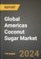Global Americas Coconut Sugar Market Outlook Report: Industry Size, Competition, Trends and Growth Opportunities by Region, YoY Forecasts from 2024 to 2031 - Product Image