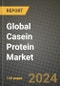 Global Casein Protein Market Outlook Report: Industry Size, Competition, Trends and Growth Opportunities by Region, YoY Forecasts from 2024 to 2031 - Product Image