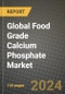 Global Food Grade Calcium Phosphate Market Outlook Report: Industry Size, Competition, Trends and Growth Opportunities by Region, YoY Forecasts from 2024 to 2031 - Product Image