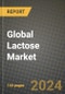 Global Lactose Market Outlook Report: Industry Size, Competition, Trends and Growth Opportunities by Region, YoY Forecasts from 2024 to 2031 - Product Image