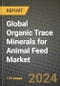 Global Organic Trace Minerals for Animal Feed Market Outlook Report: Industry Size, Competition, Trends and Growth Opportunities by Region, YoY Forecasts from 2024 to 2031 - Product Image