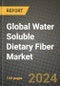 Global Water Soluble Dietary Fiber Market Outlook Report: Industry Size, Competition, Trends and Growth Opportunities by Region, YoY Forecasts from 2024 to 2031 - Product Image