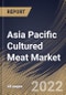 Asia Pacific Cultured Meat Market Size, Share & Industry Trends Analysis Report By Source, By End Use, By Country and Growth Forecast, 2022 - 2028 - Product Thumbnail Image