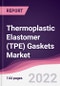 Thermoplastic Elastomer (TPE) Gaskets Market - Forecast (2022 - 2027) - Product Thumbnail Image