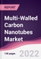 Multi-Walled Carbon Nanotubes Market - Forecast (2022 - 2027) - Product Thumbnail Image