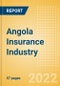 Angola Insurance Industry - Key Trends and Opportunities to 2025 - Product Thumbnail Image