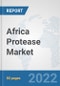 Africa Protease Market: Prospects, Trends Analysis, Market Size and Forecasts up to 2028 - Product Thumbnail Image