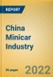 China Minicar Industry Report, 2022 - Product Thumbnail Image