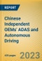Chinese Independent OEMs' ADAS and Autonomous Driving Report, 2023 - Product Thumbnail Image