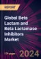 Global Beta Lactam and Beta Lactamase Inhibitors Market 2024-2028 - Product Thumbnail Image