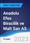 Anadolu Efes Biracilik ve Malt San AS - Strategy, SWOT and Corporate Finance Report - Product Thumbnail Image