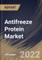 Antifreeze Protein Market Size, Share & Industry Trends Analysis Report By Type (Type I, Type III, Antifreeze Glycoprotein), By Form (Solid and Liquid), By Source (Fish and Others), By End-use, By Regional Outlook and Forecast, 2022-2028 - Product Thumbnail Image