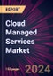 Cloud Managed Services Market 2024-2028 - Product Image